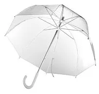 Прозрачный зонт-трость Clear
