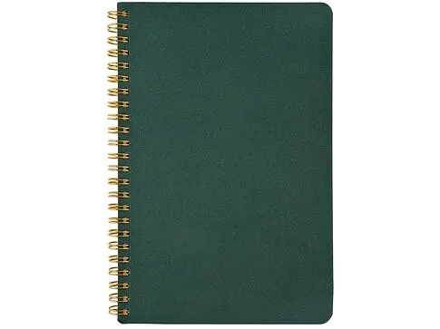 Бизнес тетрадь на гребне А5 Pragmatic, 60 листов в клетку, зеленый