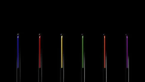 Шариковая ручка GrafeeX в чехле, черная с фиолетовым