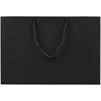 Пакет бумажный Ample Plus M, черный