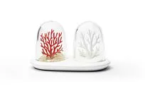 Солонка и перечница Coral Bleaching