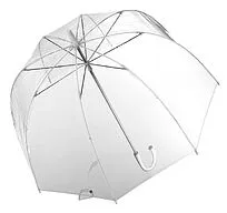 Прозрачный зонт-трость Clear