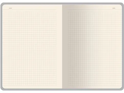 Бизнес тетрадь А5 Pragmatic, 40 листов в клетку, оранжевый