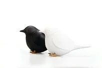 Набор для специй Sparrow Salt   Pepper