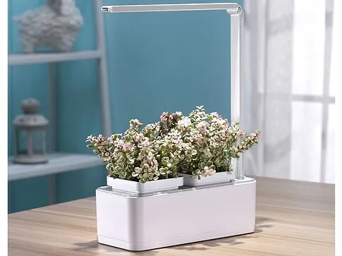 Компактный смарт-сад iGarden LED с подсветкой