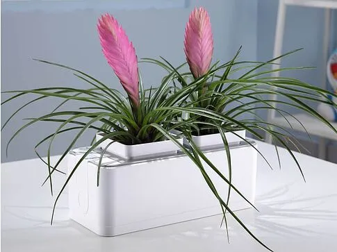 Компактный смарт-сад iGarden