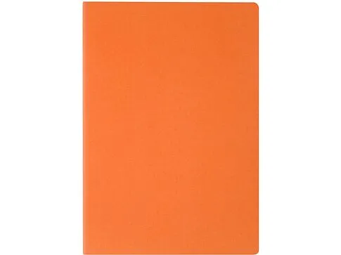 Бизнес тетрадь А5 Pragmatic, 40 листов в клетку, оранжевый