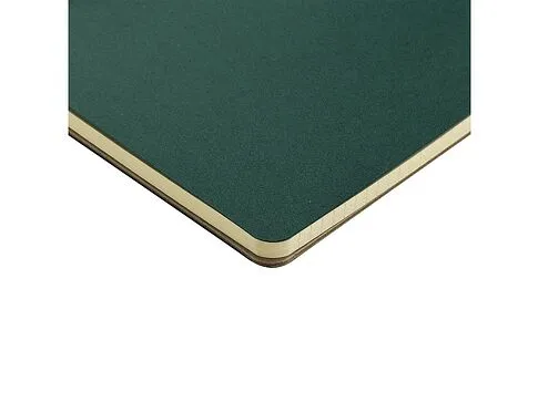 Бизнес тетрадь на гребне А5 Pragmatic, 60 листов в клетку, зеленый