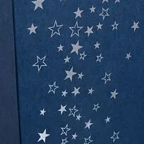 Коробка Serebrinka