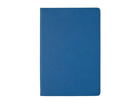 Ежедневник А5 датированный Megapolis Nappa на 2026, синий