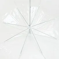 Прозрачный зонт-трость Clear