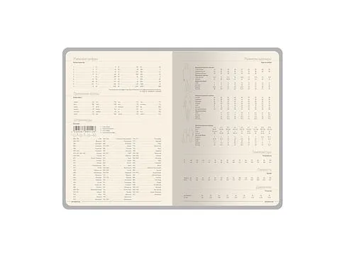 Ежедневник А5 датированный Megapolis Loft на 2026, графитовый серый