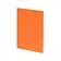 Бизнес тетрадь А5 Pragmatic, 40 листов в клетку, оранжевый