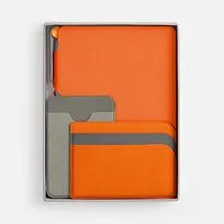 Набор Flexpen Dual, оранжевый