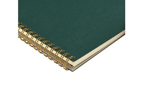 Бизнес тетрадь на гребне А5 Pragmatic, 60 листов в клетку, зеленый