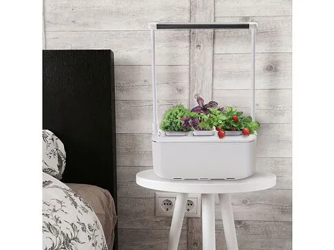 Компактный смарт-сад iGarden PRO с подсветкой