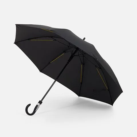 Зонт-трость Rainzee, черный