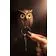 Брелок для ключей Night Owl