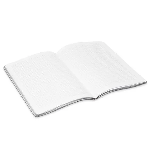 Записная книжка в клетку 15.5x21 Мяч R1-2440544