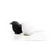 Набор для специй Sparrow Salt   Pepper