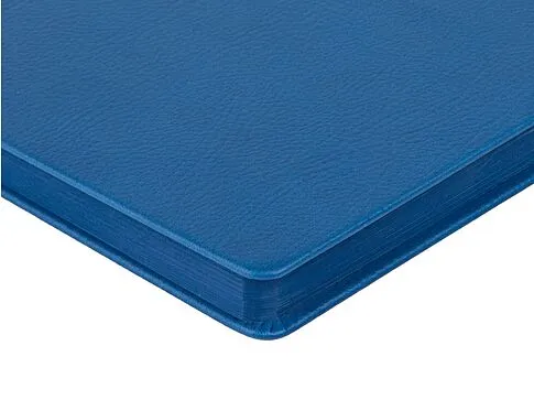 Ежедневник А5 датированный Megapolis Nappa на 2026, синий