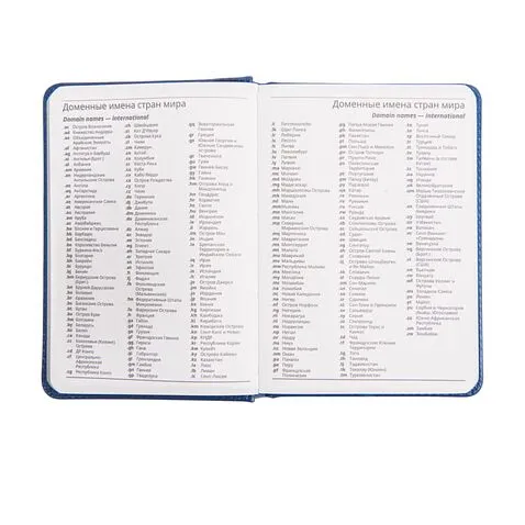 Ежедневник недатированный Joy, А6+,  синий, белый блок, серебряный обрез